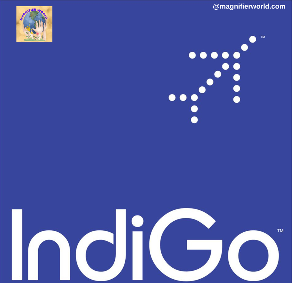 Indigo : best airlines in India