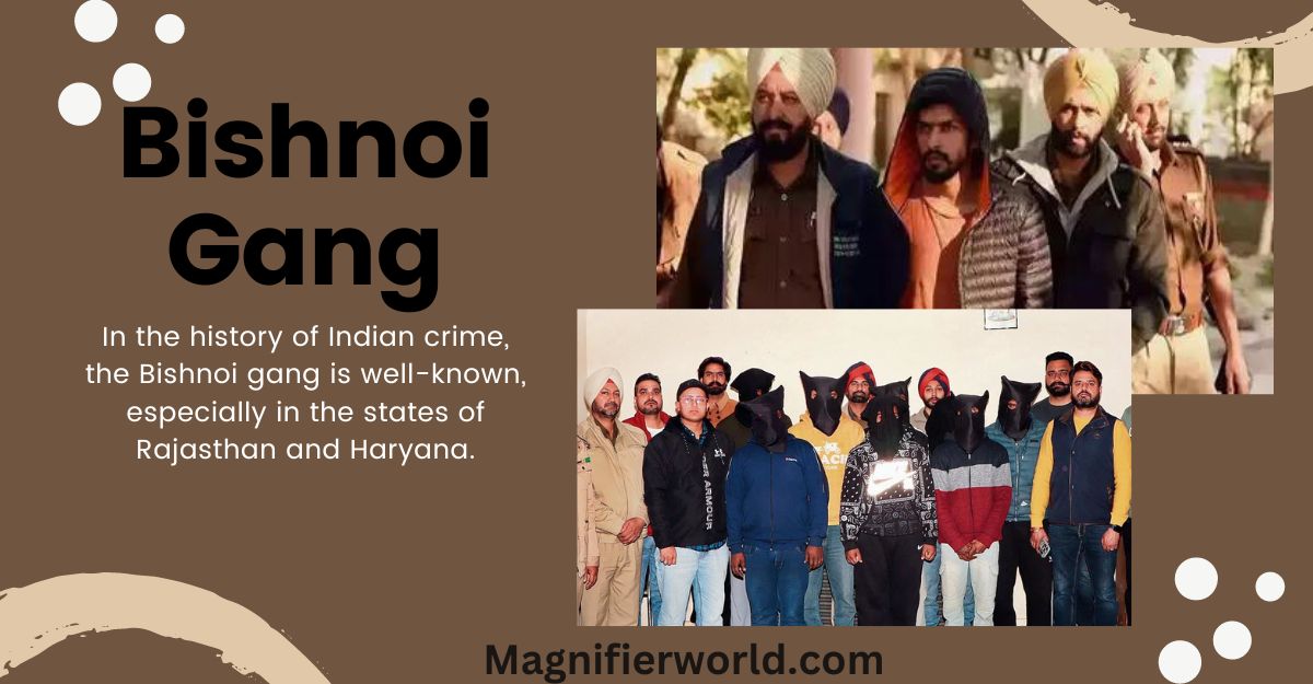 Bishnoi Gang: Operations and Impact